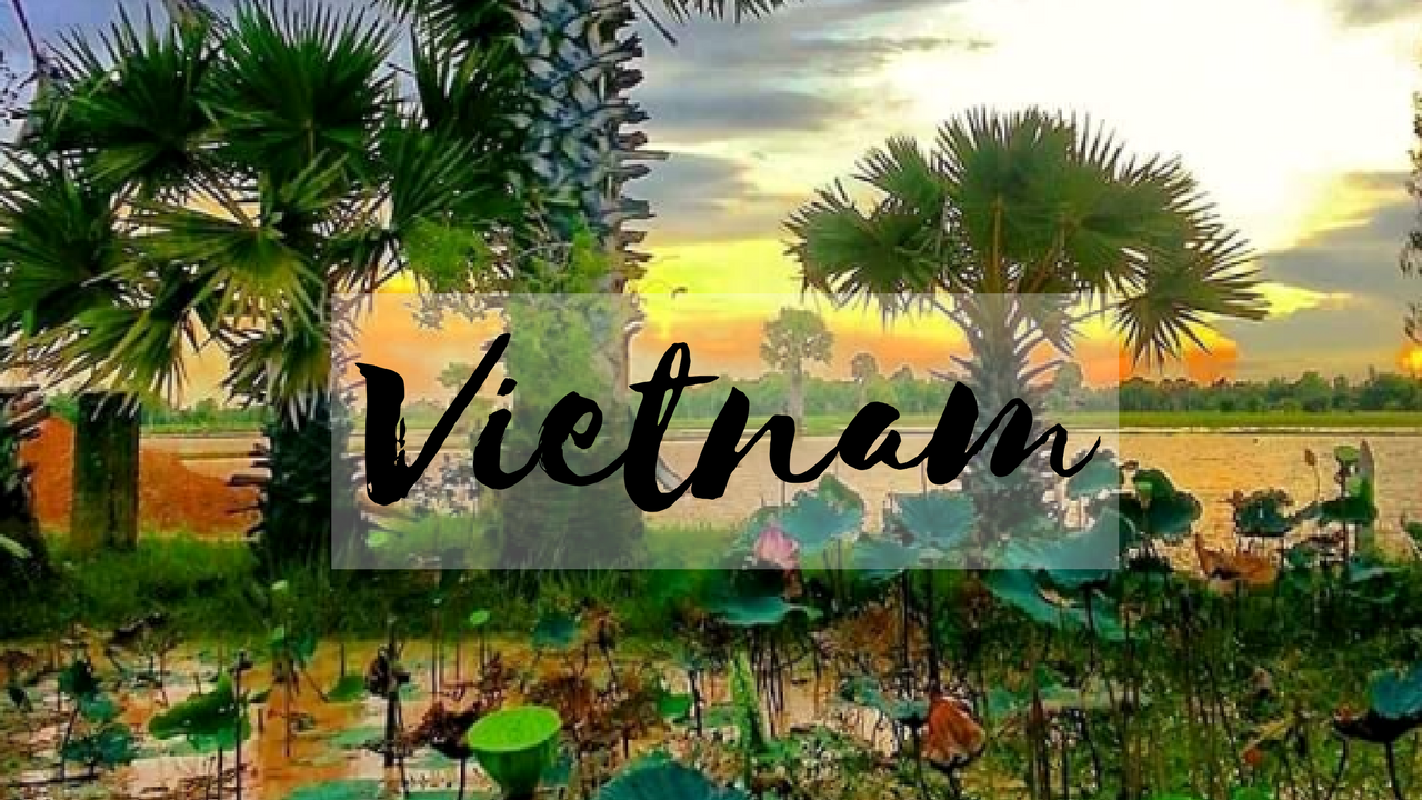 Best Places To Go In Vietnam