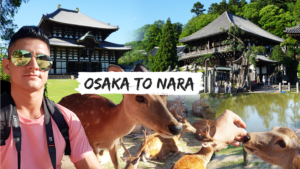 Osaka to Nara
