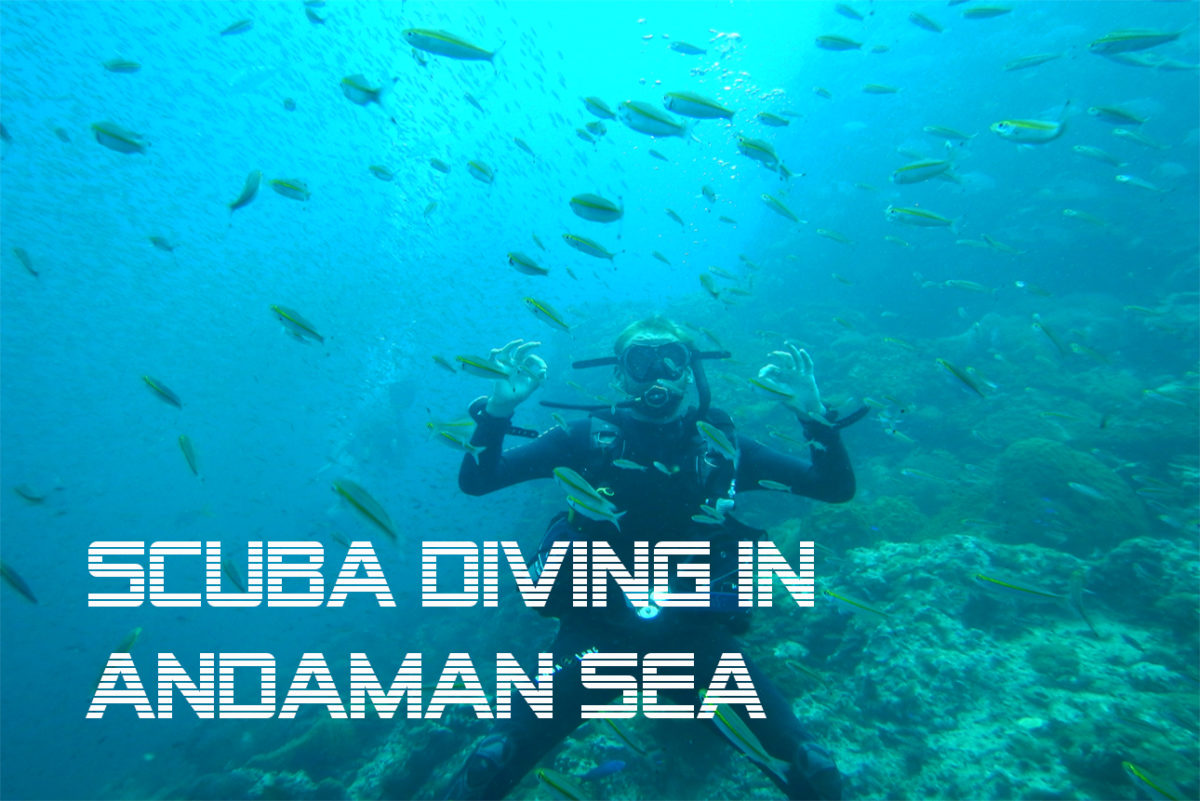 Scuba Diving in Andaman Sea