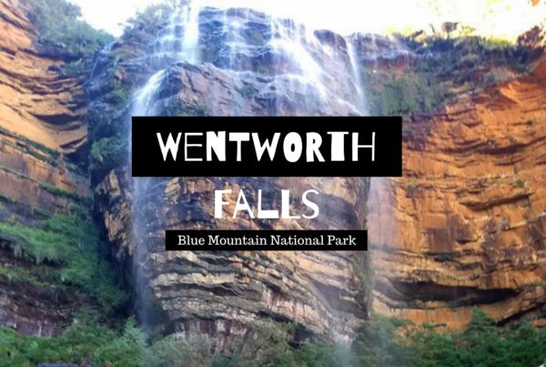 Wentworth falls blue mountain national park